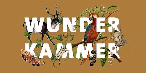 Wunderkammer: A Taxidermy Showcase and Competition