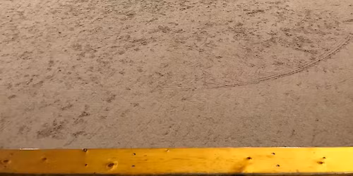 HVRC Points Show Jumping Training Show 23.07.26