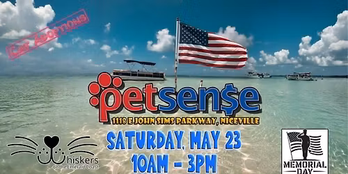 Kitty Adoption Event - Saturday May 23rd - Petsense Niceville