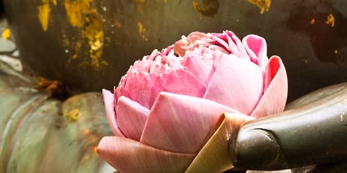 Intro to Nicheren Buddhism