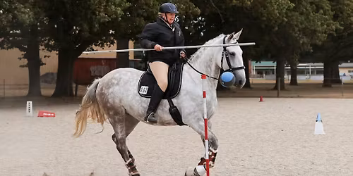 Working Equitation South East Victoria 3 Phase Competion