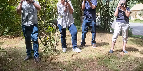 Learn Photography | November Day class