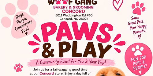 Paws & Play Woof Gang Concord