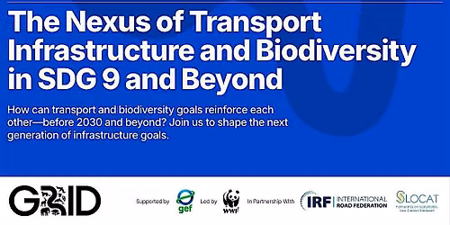 The Nexus of Transport Infrastructure and Biodiversity in SDG 9 and Beyond