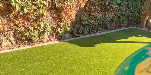 Our next Boston terrier and Frenchie meet up is November 9 at  Cayetano dog park in Livermore 