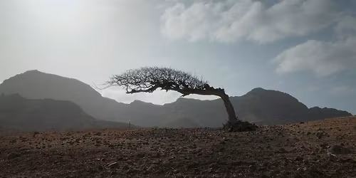 Front(s) populaire(s) #5