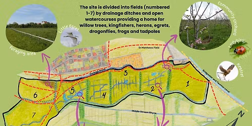 Willow Sculpture Weaving Sessions\n\nat Victoria Park Community Centre\n\n