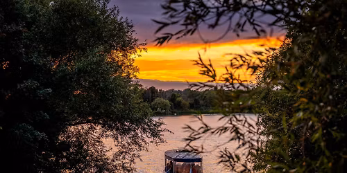 Wildlife Boat Trip & Bat Walk