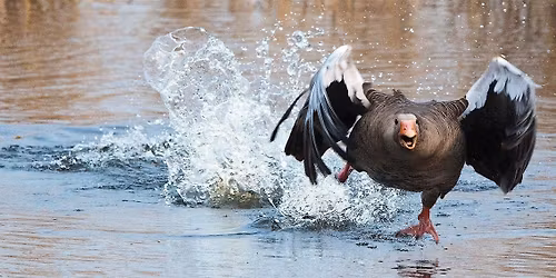 Quick Start to Teaching at Abertay Day 1