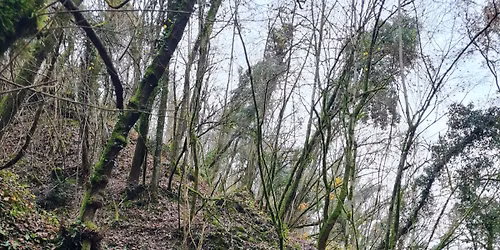 Sulle tracce del Bosco Sacro Trail 2026