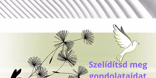 Ne ess t\u00falz\u00e1sokba, maradj nyugodt - 4 alkalmas n\u0151i program