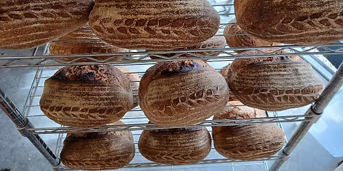 Introduction to sourdough