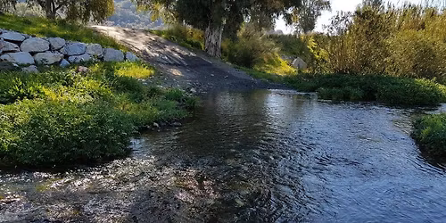 Arroyo de las Ca\u00f1as