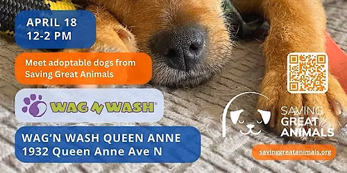 Dog Adoption Event! Saving Great Animals, Wag 'N Wash 12-2!