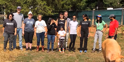 VSDC Volunteer Day at Rosie's Farm Sanctuary