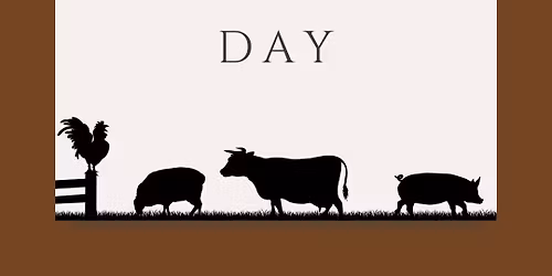 Open Volunteer Days at the Sanctuary