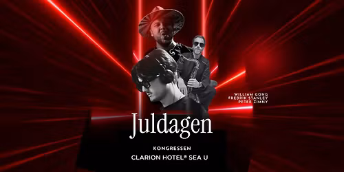 Juldagen i Kongressen \ud83e\udea9