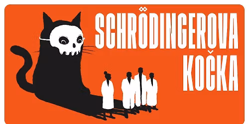 Schr\u00f6dingerova ko\u010dka v Ostrav\u011b