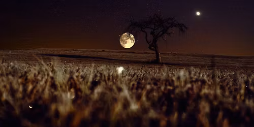 Experience the Night Sky with Richard Darn