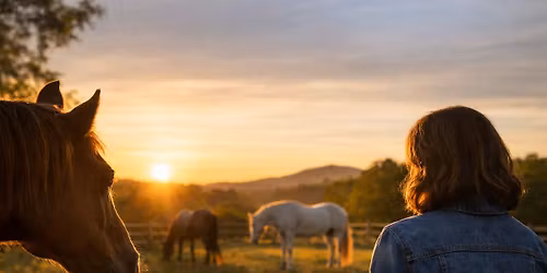 The Equine Connection: Presence, Insight, & Growth with Horses