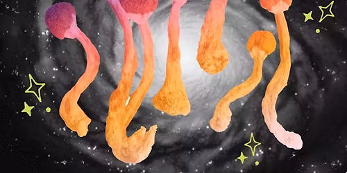 The History of Psilocybin: Humanity\u2019s Oldest Trip
