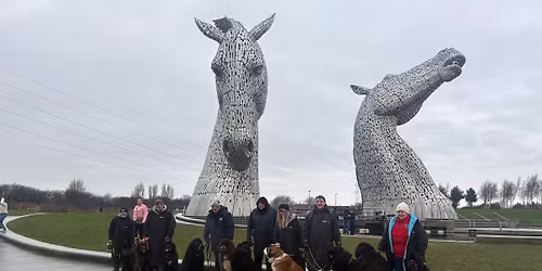 Winter walk all Newfoundland s Welcome