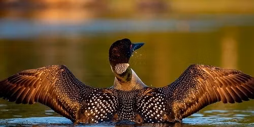 Pickerel-Kimball Lakes Association Spring Membership Meeting!!
