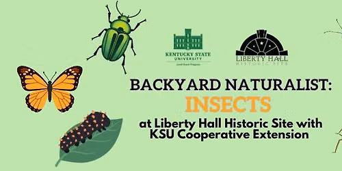 Backyard Naturalist: Insects