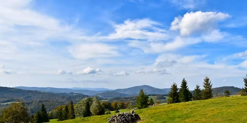 KOTARZ-O\u0141TARZ EUROPY 200.-