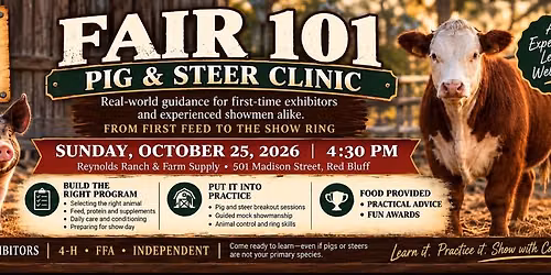 Fair 101 Pig and Steer Clinic