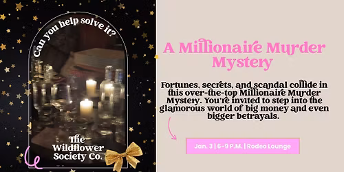 A Millionaire Murder Mystery