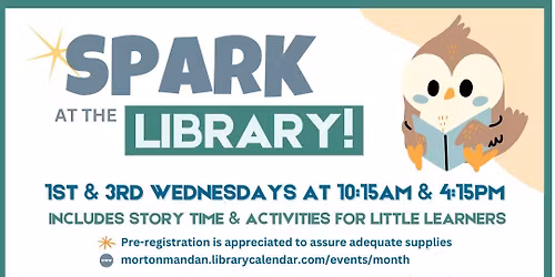 SPARK at the Library - morning session