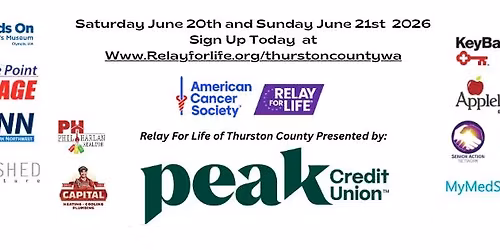 PINNpals- Painting with a Twist fundraiser 