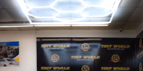 Tint World 2nd Annual Exotic Car Showcase
