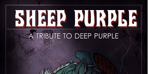 Sheep Purple at The Church House