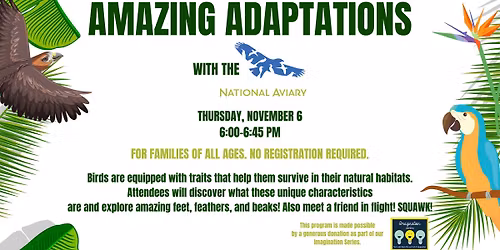 Amazing Adaptations with the National Aviary