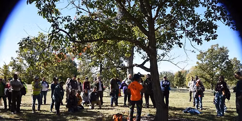IAA Careers in Arboriculture Demonstration Event