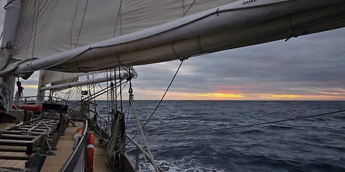 Rosslyn Bay Day Sail
