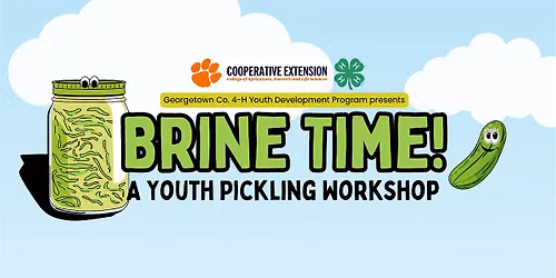 Georgetown County 4-H Youth Pickling Workshop 2026