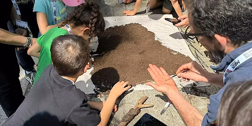 Biodiversit\u00e0 a Torino: due City Nature Challenge a confronto