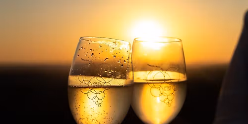 M\u011blnick\u00fd ko\u0161t 2026