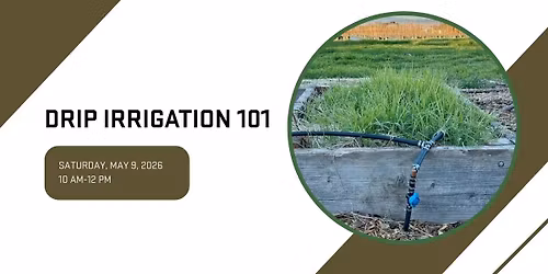 Drip Irrigation 101