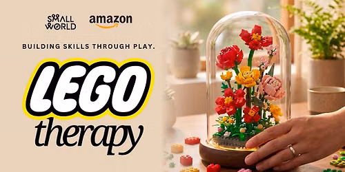 Lego Therapy