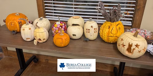 Family Activity: Pumpkin Carving