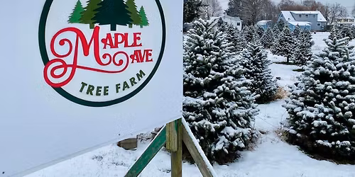 2025 Opening Day at Maple Ave Tree Farm