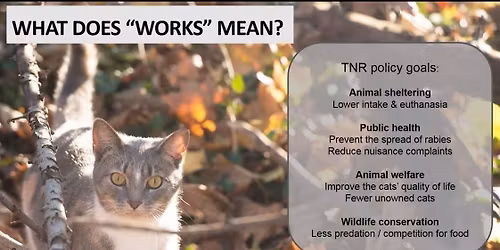 Trap Neuter Return - How to Care for Outdoor Cats