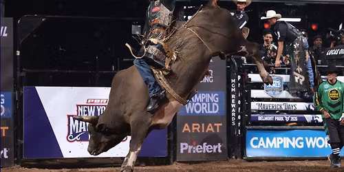 Parking PBR: Teams Series - Rattler Days - 3 Day Pass