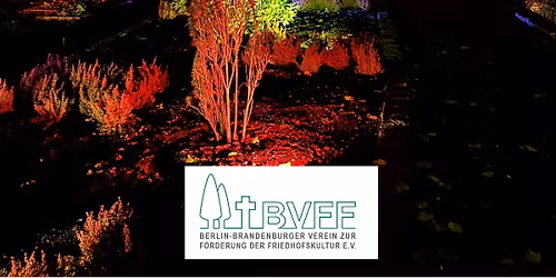 Der Friedhof leuchtet!