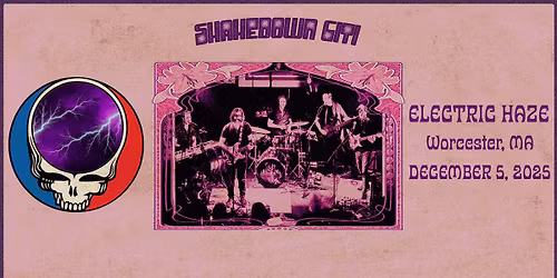 Shakedown Citi at Electric Haze