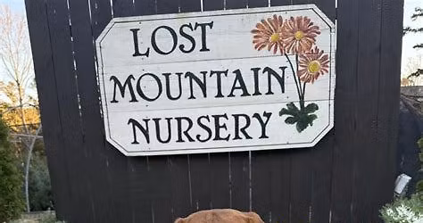 LOST MOUNTAIN NURSERY POLLINATOR AND PLANT ACTIVITY DAY